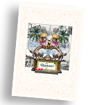 Katalog Djoser Reisen