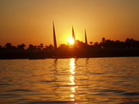 Orient Visual