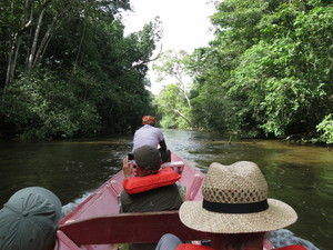 Upper Suriname River