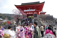 Japan Kyoto Fushimi Inari Taisha