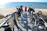 Baltikum Litauen Nida Fahrräder