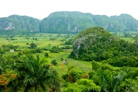 Kuba Pinar del Rio Vinales Tal Landschaft