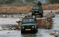 Indien Corbett Nationalpark Jeepsafari
