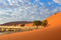 Die höchsten Sanddünen der Welt beim Sossusvlei und Deadvlei auf unserer Rundreise durch Namibia, Botswana und Simbabwe inkl. Victoriafällen