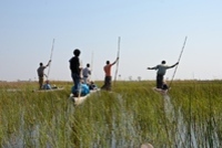 Eine Bootsfahrt auf dem Okavangodelta während unserer Rundreise durch Namibia, Botswana und Simbabwe inkl. Victoriafällen.