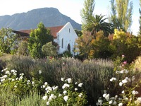 Stellenbosch