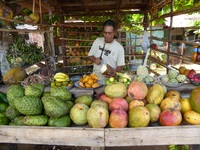 Kuba Marktstand tropische Früchte