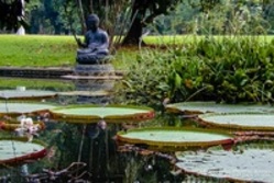 Ein Teis mit einem Budha im Hintergrund