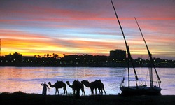 Kom Ombo bei Sonnenuntergang mit einem Mann und seinen drei Kamelen im Vordergrund