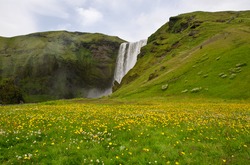 Skógafoss, Wasserfall, Landschaft, Island Reise