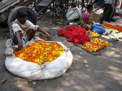 Drei junge Männer, die Blumen auf der Straße verkaufen 