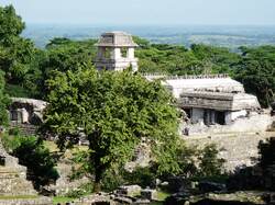 Blick auf die Palenque Ruinen 