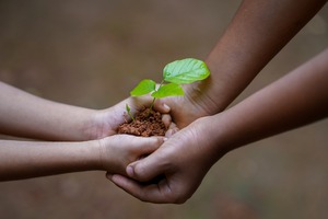 Nachhaltigkeit, helfen, Natur, Kinder, unterstüzen