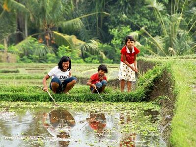 Indonesien mit Kindern, 18 Tage