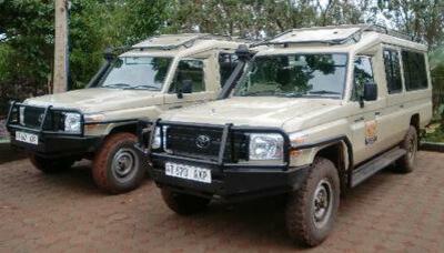 Im Ngorongoro Krater machen wir eine Pirschfahrt mit Geländewagen.