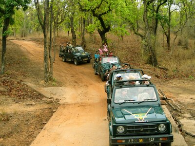 Indien Jeepsafari Nationalpark