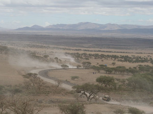 Landschaft Serengeti NP
