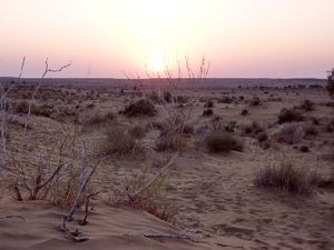 Wüste Thar während der Kamelsafari bei Jaisalmer