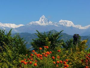 Blick zum Gipfel des Machhapuchare im Annapurna-Massiv bei Pokhara