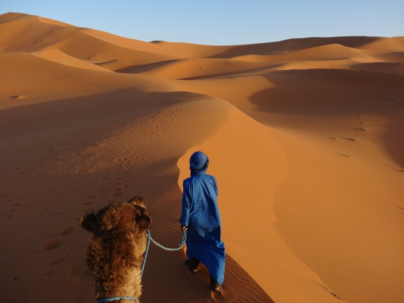 Auf dem Rücken geduldiger Kamele erkunden Sie die Dünenlandschaft