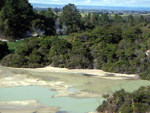 Pool in Rotorua