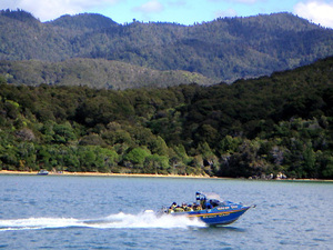 Bootstour im Abel Tasman Nationalpark