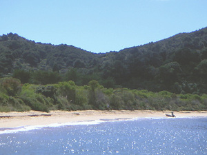 Bucht im Abel Tasman Nationalpark