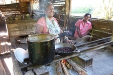Cahuita NP: Ausflug zum BriBri-Dorf