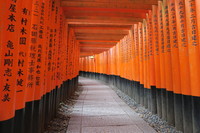 Japan, Kyoto, Fushimi Inari Taisha, Torii, Japanreise, Djoser
