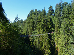 Vancouver: Suspension Bridge