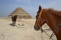 EG - Djoser Pyramide mit Pferden