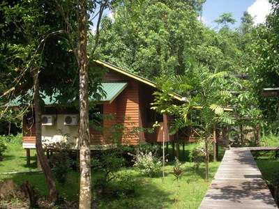 Malaysia Borneo Sabah Sepilok Jungle Resort