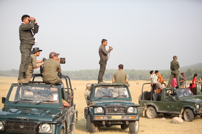 Indien Jeepsafari Nationalpark