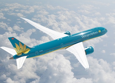 Vietnam Airlines Dreamliner