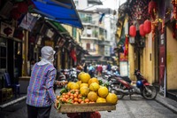 Djoser Reisen_Vietnam_Hanoi_Obst
