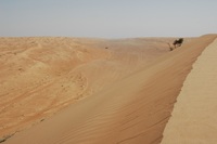 Djoser_Oman_Wahiba-Wüste_Düne(1)_AGBahwan_FOC