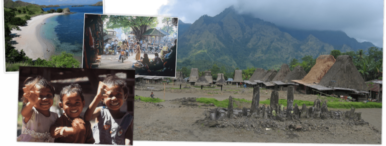 Schauen Sie sich Djosers Rundreise Indonesien: Sulawesi, Flores, Komodo NP & Bali, 22 Tage  an