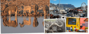Verschiedene Eindrücke einer Südafrika, Lesotho & Eswatini (Swasiland) Rundreise mit Djoser