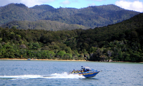 Bootstour im Abel Tasman Nationalpark