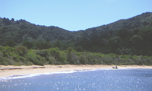 Bucht im Abel Tasman Nationalpark