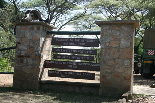 Serengeti NP