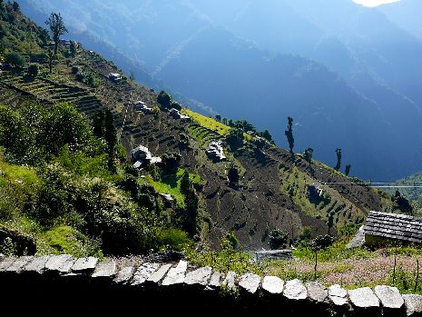 Berghang mit Terrassenfeldern im Annapurna bei Pokhara