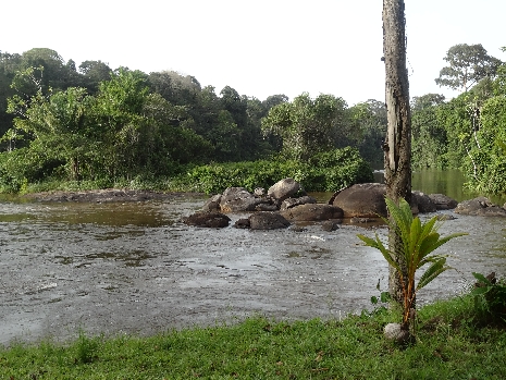 Upper Sruiname River