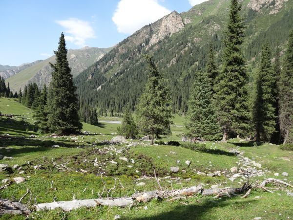 Altyn Arashan Tal, Nationalpark, Kirgistan