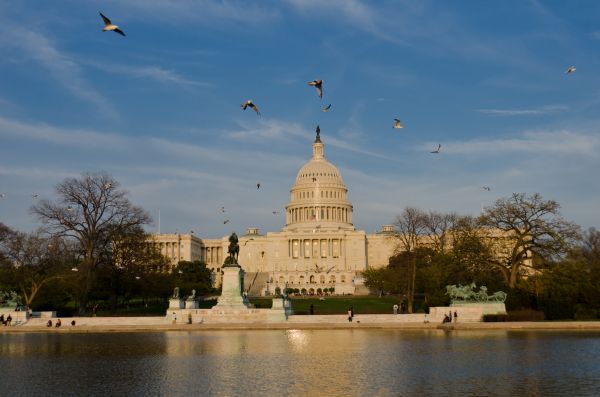 US_Washington, D.C._Kapitol_RoyaltyFree_NL_FOC_konv
