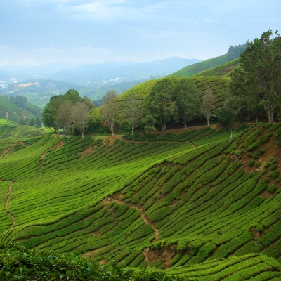 Rundreise Malaysia, 20 Tage