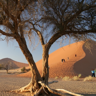 Rundreise Namibia, 17 Tage Zelt- oder Hotel & Lodge-Safari