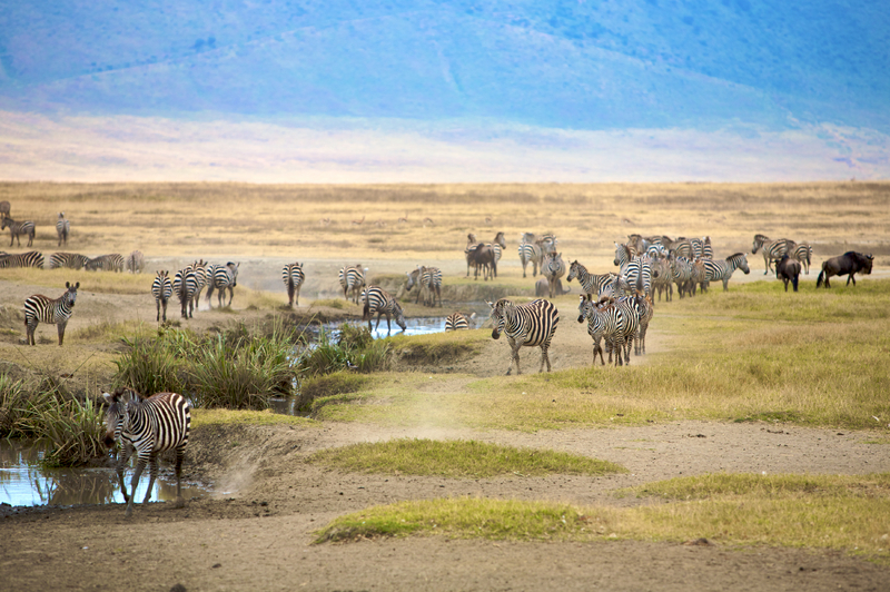 Ngorongoro Krater_Djoser Reisen