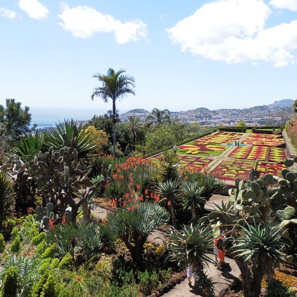 Wanderreise Madeira, 8 Tage