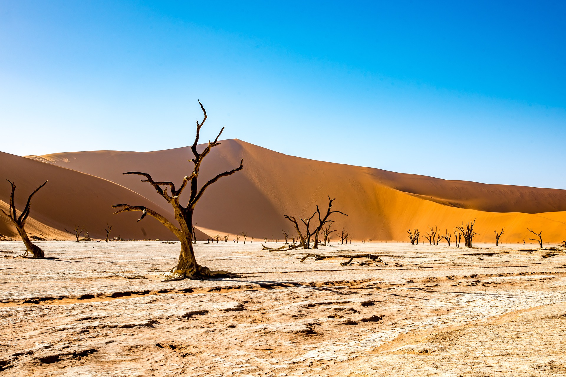 Djoser_Namibia_Deadvlei_pixabay_foc